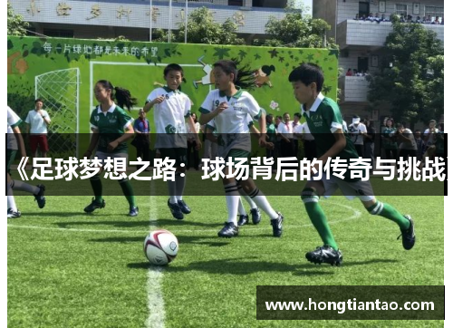 《足球梦想之路:球场背后的传奇与挑战》 《足球梦想之路:球场背后的传奇与挑战》