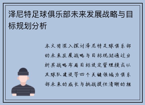 泽尼特足球俱乐部未来发展战略与目标规划分析 泽尼特足球俱乐部未来发展战略与目标规划分析